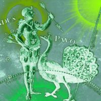 Capricorne Decan 3 ~ 11-20 janvier
