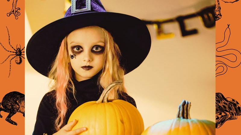 Halloween ~ Its Spiritual Meaning | Darkstar Astrology