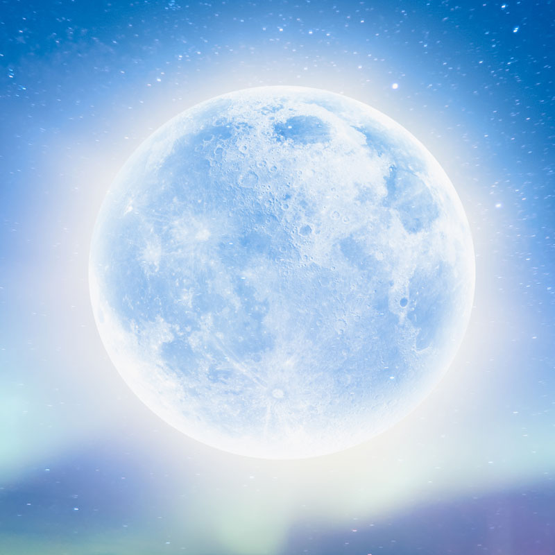 Full Moon February 2023 ~ Persistance
