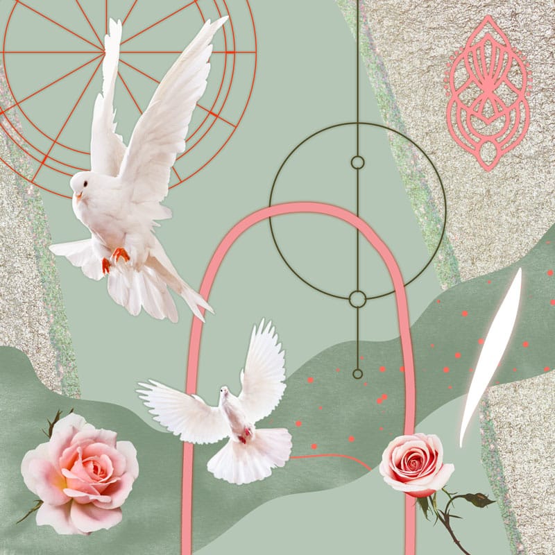 Venus Transit The Houses